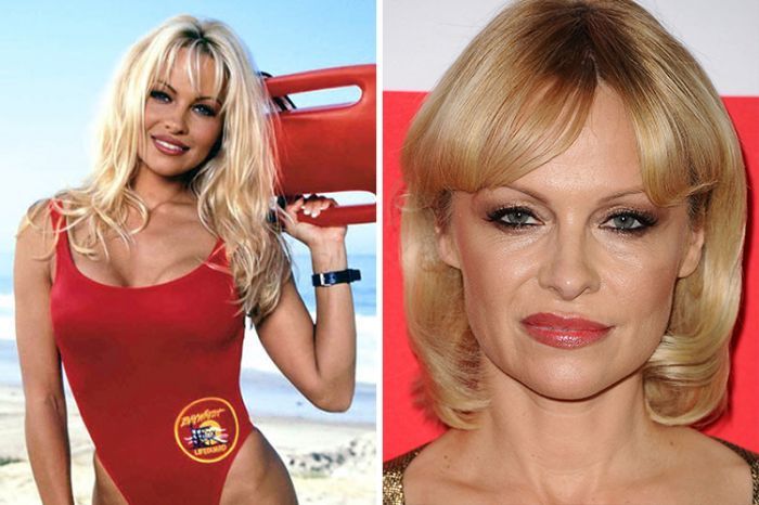 BAywatch, cast, Pamela Anderson, T.V show, stardom