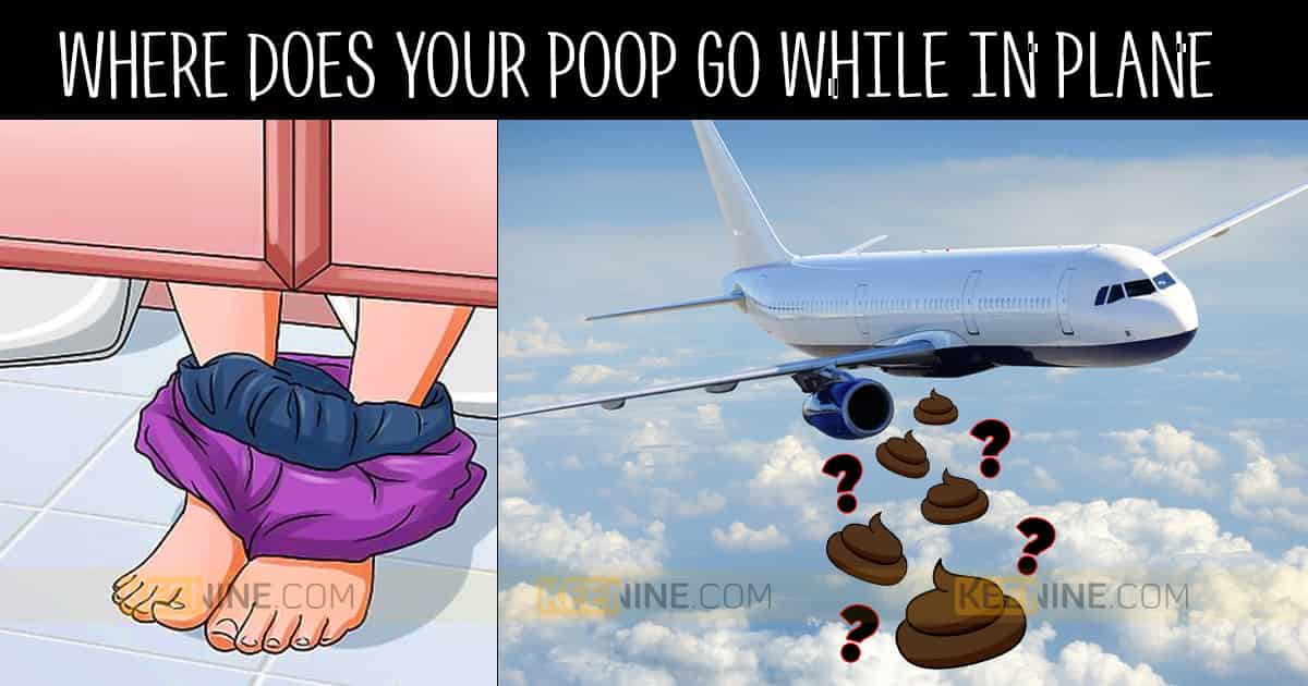 Check Out, What Really Happens To Your Poop In An Airplane Toilet