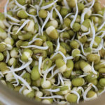 mung-bean-sprouts-how-to-use